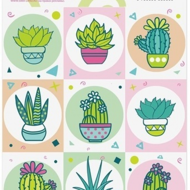 Stickers Cactus. 